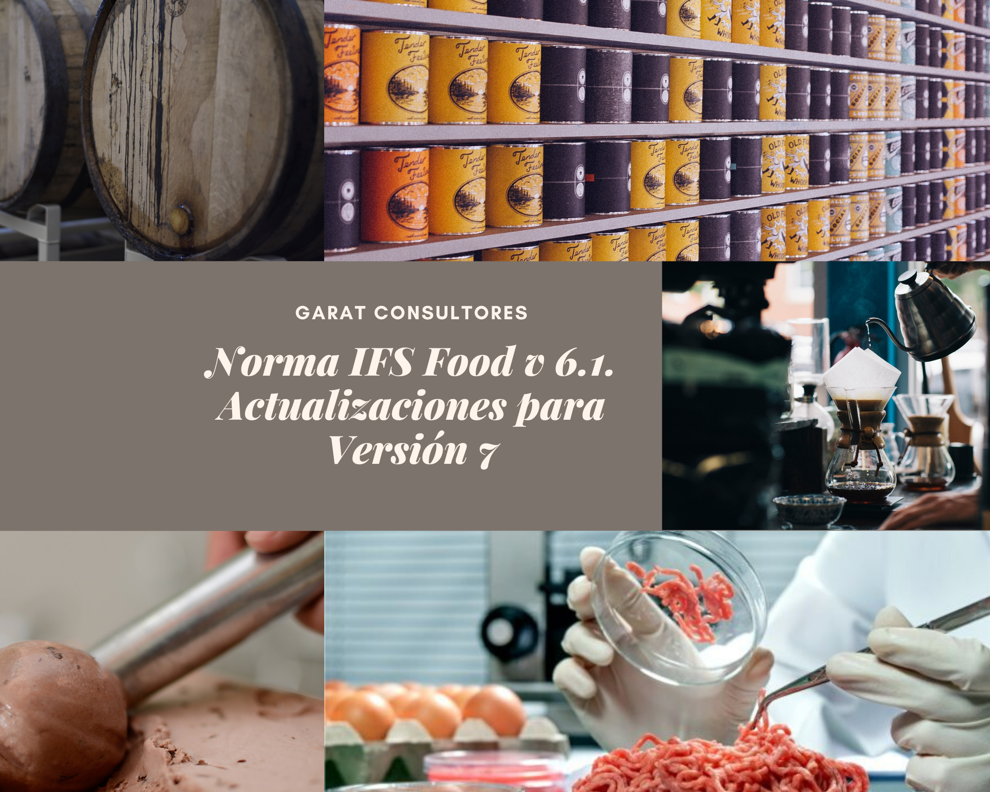 Norma IFS Food v 6.1. Actualizaciones para Versión 7 Norma IFS Food v 6.1. Actualizaciones para Versión 7